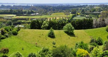 Vivid pointers for a brighter future One of New Zealand’s biggest environmental problems is erosion caused by bush clearance on unstable soils by long ago farmers