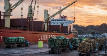 Gisborne port to invest in region’s economic growth
