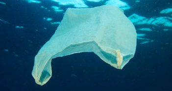 Australian supermarkets phasing out plastic bags Plastic bag floating in the ocean