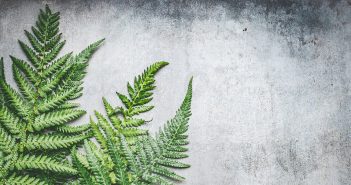 ‘Green’ concrete set to revolutionise the construction industry