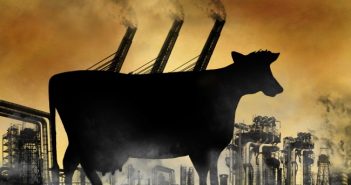 More trees and fewer cows the sign of a low-emissions economy