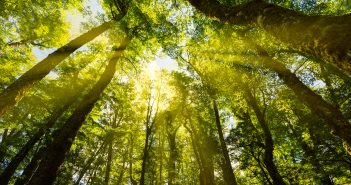 Climate change report a step in the right direction