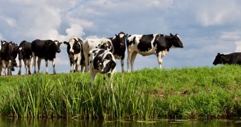 Action for healthy waterways