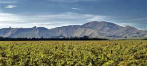 Wine-Trail-Wairarapa