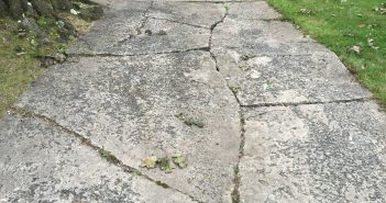 The slow destructive power of trees – what you need to know